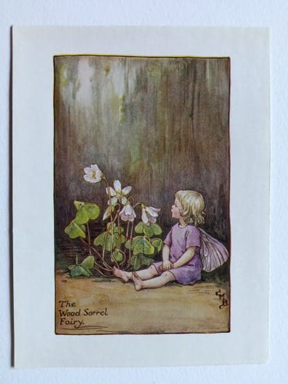 Wood Sorrel Flower Fairy Print