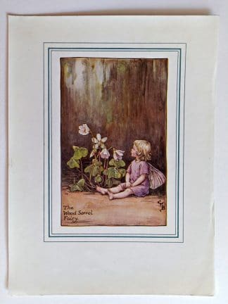 Wood Sorrel Vintage Fairy Print