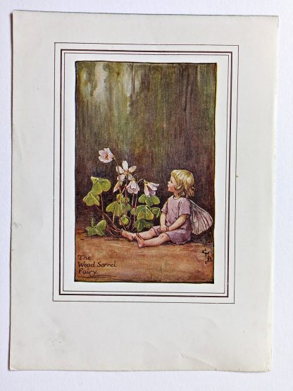 Wood Sorrel Vintage Flower Fairy Print
