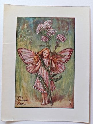 Yarrow Fairies Print