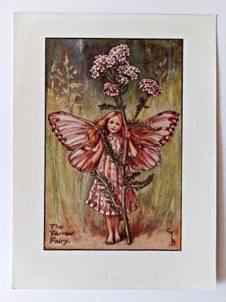 Yarrow Flower Fairy Print