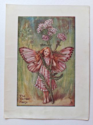 Yarrow Vintage Fairy Print