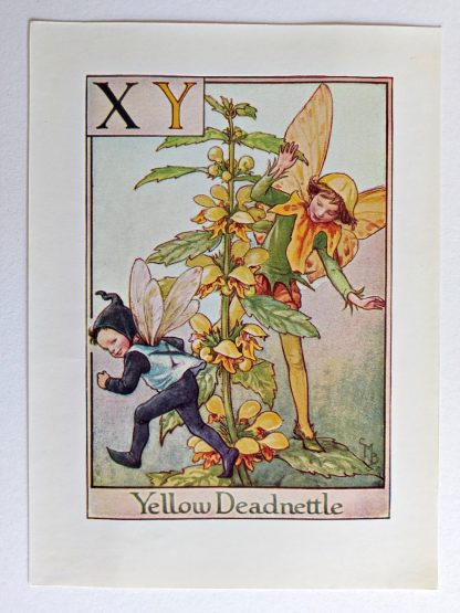 Yellow Deadnettle Fairies Print
