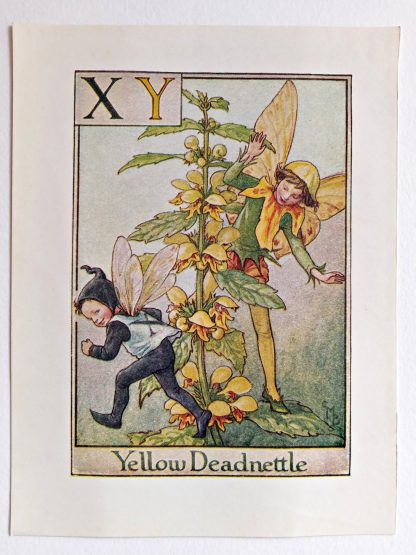 Yellow Deadnettle Fairy Print