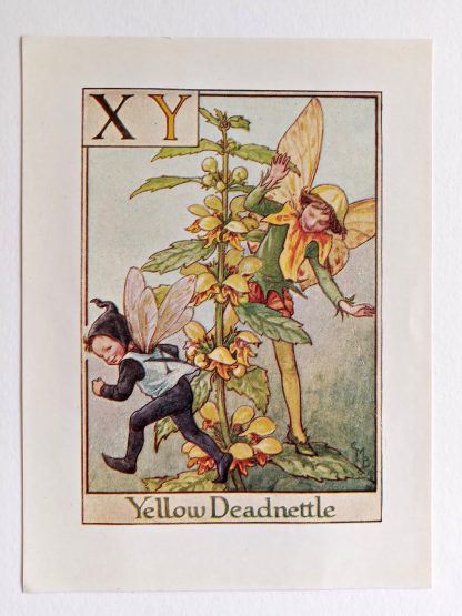 Yellow Deadnettle Vintage Fairy Print