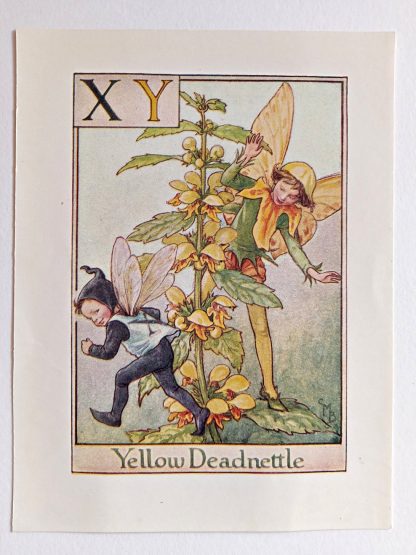 Yellow Deadnettle Vintage Flower Fairy Print