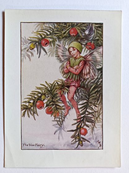 Yew Flower Fairy Print