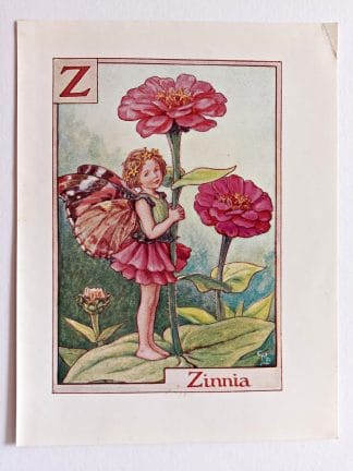Zinnia Fairy Print
