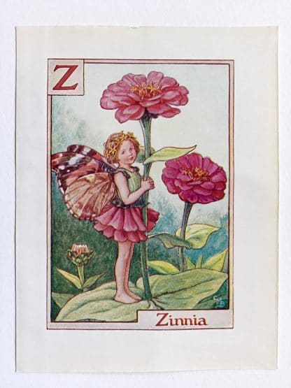 Zinnia Flower Fairy Print