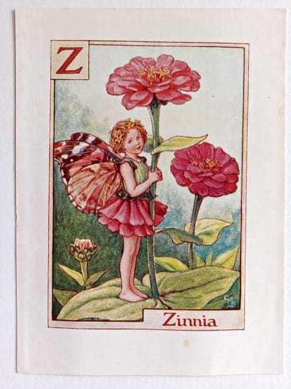 Zinnia Vintage Flower Fairy Print